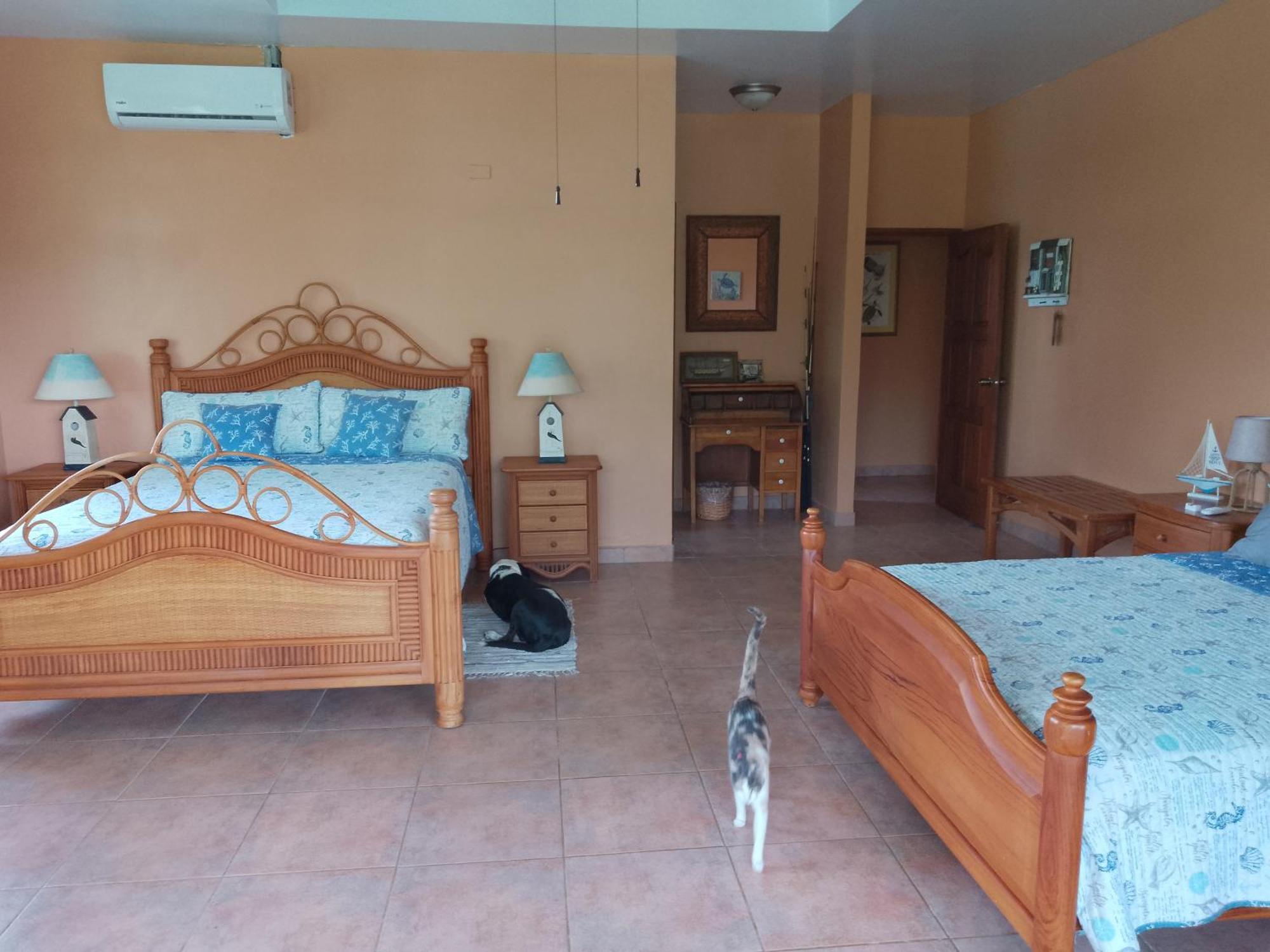 Gone Fishing Panama Resort Boca Chica Exterior foto